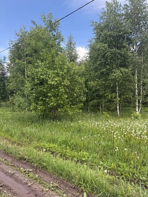 Купить  участок